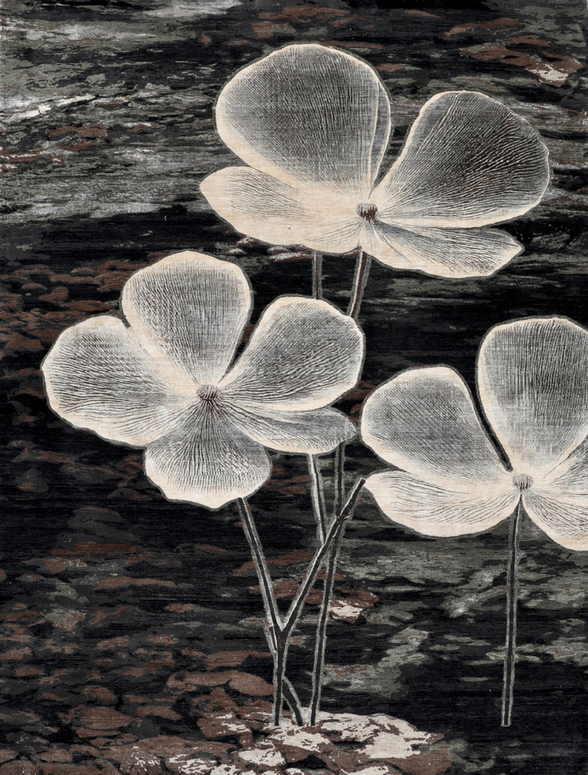 Fiori 32 - White Bloom