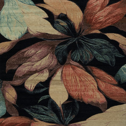 Fiori 11 - Magnolia blossoms