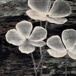 Fiori 32 - White Bloom