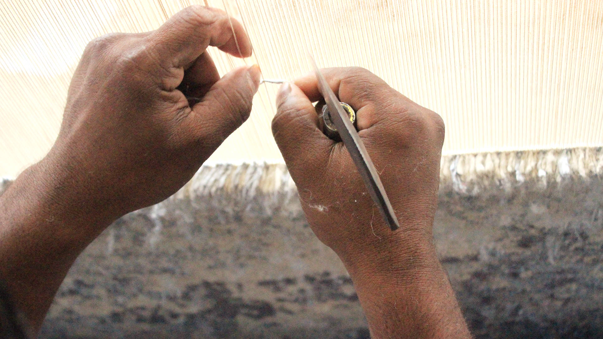 Experience our production